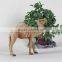 sale cheap camel soft plush toy with blanket