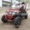 Automatic F-N-R 2x4 drive 250cc UTV (TKG250-A3)