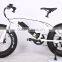 2017 New design 20 inch 36V 350W non-foldable electric fat bike