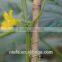 Factory supply garden use plastic twist tie
