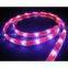 LED Strip/LED Rope/LED Bar