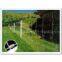 Hot Dipped Galvanized Hingejoint Field Fence manufacture