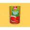 Tomato Paste