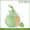 vegetable plush dog toy onion