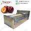 Automatic Plum Fruit Pitting Machine With High Pitting Rate