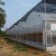 Tunnel PO Film Plastic Greenhouse for Vegetable Planting