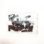 Original China KTA19 KTA38 Crosshead Adjusting Screw 3032697