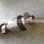 4988630 truck engine camshaft,camshaft prices camshaft