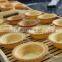 Wholesale tart machine/automatic egg tart making machine/cupcake making machine
