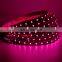 16.4FT LED Strip Light RGB CCT RGBW 5IN1 chip 5050 SMD Tape 12V 24V Waterproof