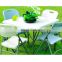 Polycarbonate Resin Plastic Banquet Rectangle Folding Table And Chairs