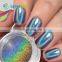 Sephcare Holo nail powder rainbow 3D holographic pigment