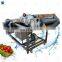 Commercial Bubble Ozone Fruit Washing Machine Broccoli Spinach Lemongrass Okra Pepper Vegetable Washer