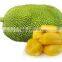 Jackfruit Peeling Machine Skiving Machine peeler industrial machine