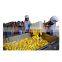 shanghai full  complete dried mango processing plant