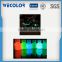 China Supplier Complete Colors Universal Fluorescent Pigment Colourant