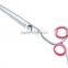 Euro Style Ergonomic handles Barber Thinning Scissors