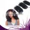 Indian Remy jerry curl human hair weft