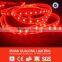 cheap led strip light 110V-240V rgbw strip led made in china