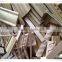 pine wood moulding/chinese wood moulding/teak wood moulding distributor