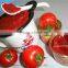 CANNED TOMATO PASTE factory 28%min canned tomatoes 800g*12tins to Nigeria/Libya