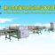 Full Automatic Ceramic Cutting Machine for 800 x 800mm and 600 x 600mm