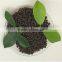 Diammonium Phosphate (DAP 18-46-0) Supplier (Total N:18%)