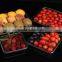 clear plastic fruit container
