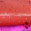 240T Polyester Pongee fabric with Silver Rubber Patch for kids wear