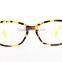 Beautiful Plastic Glasses Optical Frame