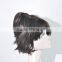 Synthetic short hair wig anime cos wig N265