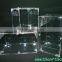 Hot sales flat packed pvc terrarium with great price custom