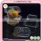 Plastic rectangular blister cupcake box with lid