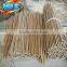 garden bamboo stick 61cm 8/10mm