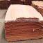 Linyi 0.3mm Pencil Cedar Veneer with competitive price