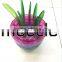 Fruit Salad Flowerpot Combination Tool Shredder Multifunctional Fruit Conditioner FRUIT PLANT