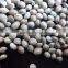 2016 crop organic hemp seeds