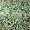 Frozen IQF sweet pea