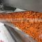 BEST SALE TOP QUALITY FRESH CARROT FROM CHINA