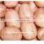 GROUNDNUT KERNEL JAVA 60/70