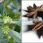 SUPPLIER OF BROKEN STAR ANISEED FROM VIETNAM