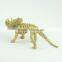 Factory direct sale realistic dinosaur skeleton toy