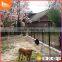 New design steel fence with CE certificate