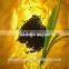 Agrolink amino acid plus humic acid granular for hot sale