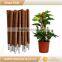 45cm Garden Flower Pot Plant Climbing Stakes