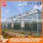 Agriculture Hollow Tempered Glass Greenhouses Hydropogenic Systems