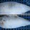 FROZEN SARDINE FISH/ SHAD FISH/ SIZE 4/6