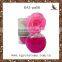 Customized shape glass bottle with sola flower air freshener bottle