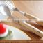 stainless spoon and fork with wooden beech handle
