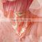 birthday outfit! pink tulle lace skirts .tutu,pettiskirt
